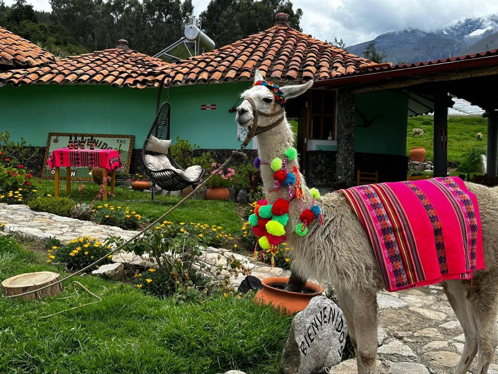 Tullpa Rumy Yungay Exteriör bild