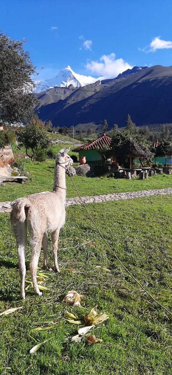 Tullpa Rumy Yungay Exteriör bild