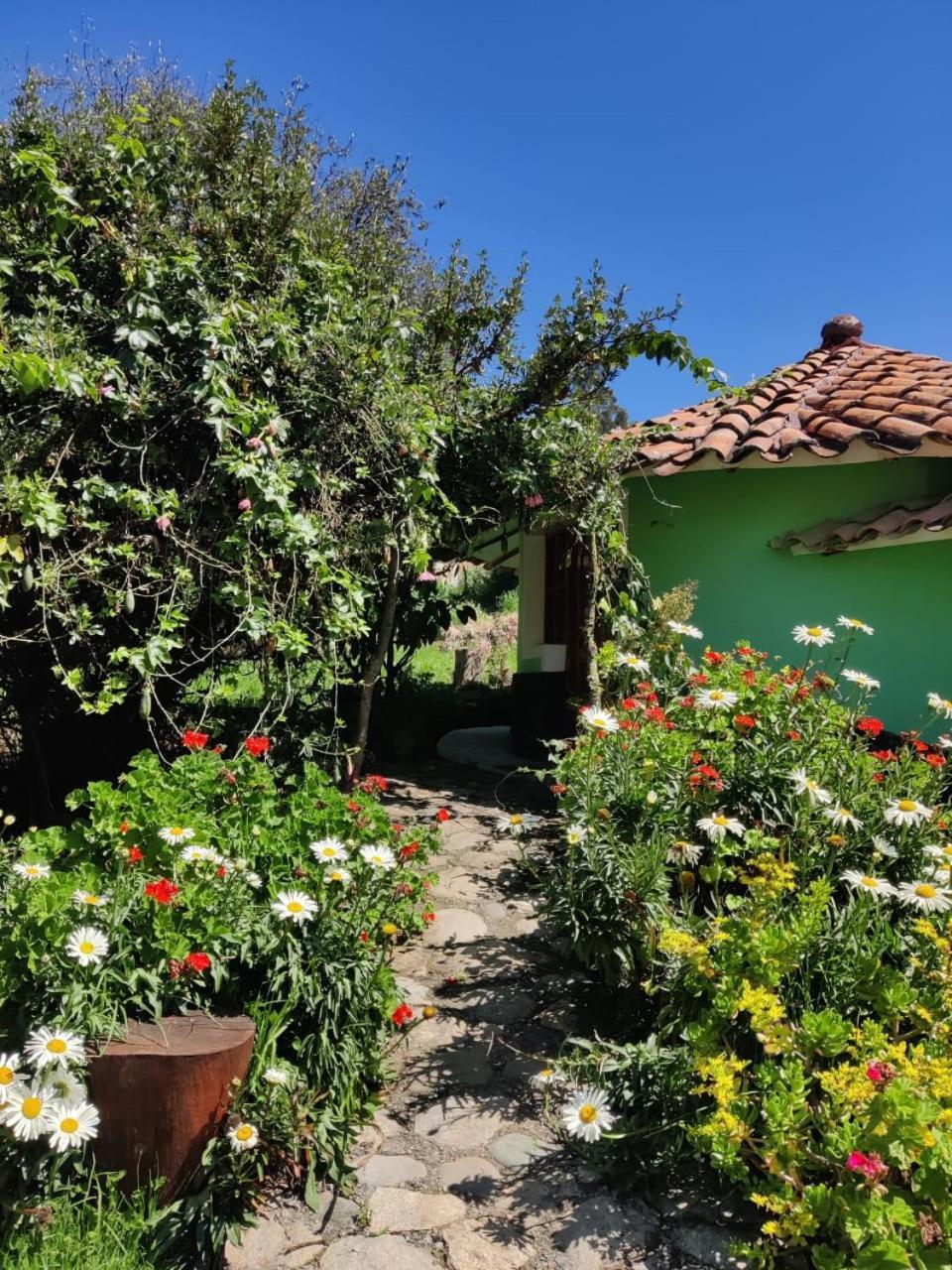Tullpa Rumy Yungay Exteriör bild